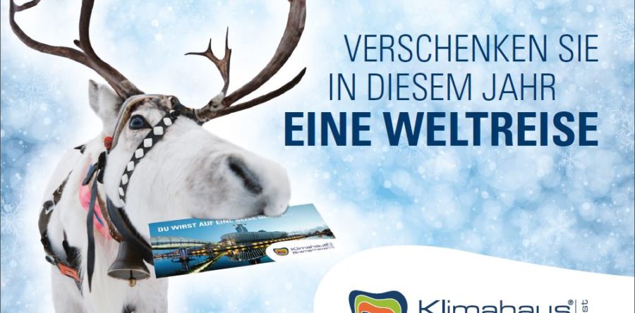 Einmal um die Welt mit CityCards