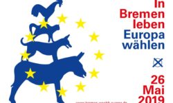 Wahljahr 2019 mit CityCards