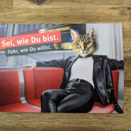 Tierisch coole CityCards Kampagne der BSAG