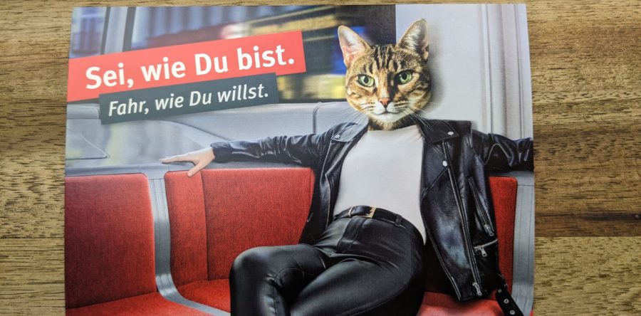 Tierisch coole CityCards Kampagne der BSAG