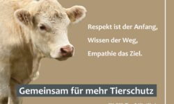 Mit CityCards “Gemeinsam für mehr Tierschutz”