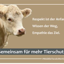 Mit CityCards “Gemeinsam für mehr Tierschutz”