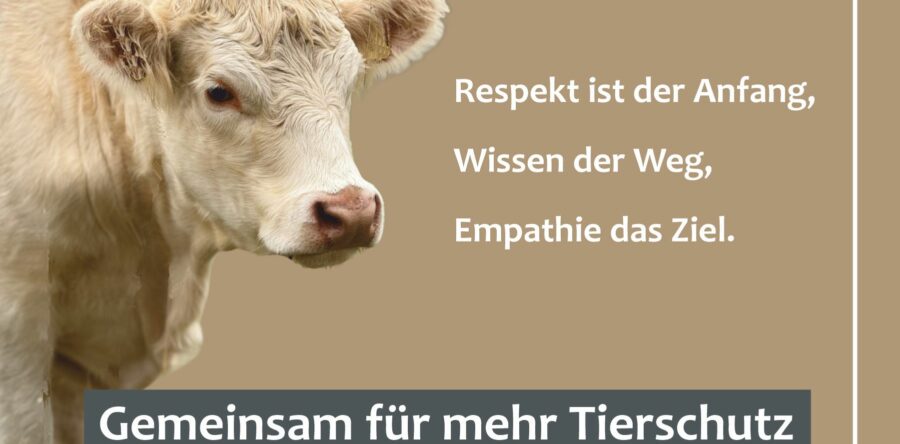 Mit CityCards “Gemeinsam für mehr Tierschutz”